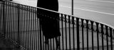 Fence *