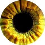 My Eye *