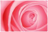 10th<br>Pretty In Pink*<br>by Techo
