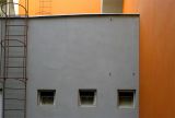 orange*.jpg