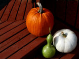 Gourds
