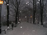 <b>3rd</b> <br> Snowy Walk*<br>by A.Jarosz