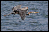 The Power... and Freedom... of Flight