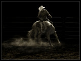 2nd Place<BR>The Cowboy<br>by Lydia Too