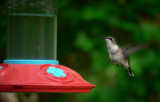 Hovering