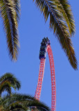 9th - Top of the Curve