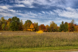 Fall Colors in HDR