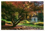 Autumn Color at Sayen Gardens