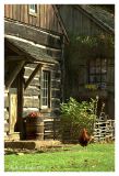 Autumn at the Mill Farm