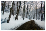 Winter Sunset Along Cutalossa Rd