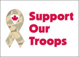 support_troops.jpg