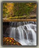 Fallen Leaves By Waterfall