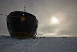 North Pole & Franz Josef Land expedition (7-20 July 2008)