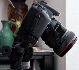 Canon TS-E 24mm F/3.5 L with smallest Canon body
