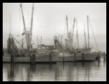 Early Morning Harbor