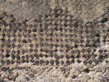 herc stone mosaic.JPG