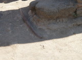 pom bath lead pipe.JPG
