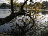 Hangzhou lake island14.JPG