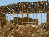 masada sticks.JPG