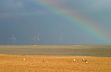 Wind Farm Rainbow