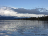 Comox Estuary 2.JPG