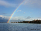 Rainbow in Comox Estuary 1.JPG