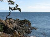 Pipers Lagoon Park.jpg