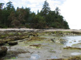 Whaling Station rocky shore 1.jpg