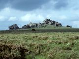 Hound Tor - Dartmoor near Widecombe.jpg