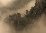 mountain mist