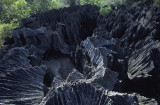 Bemahara Tsingy