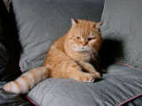 DSC01255_1.JPG