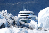 THIS BOAT WAS DWARFTED JUST BY THE SMALLEST ICEBERGS