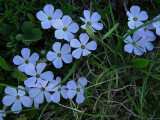 IMG_0119.JPG