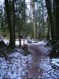 after 0.9m, RIGHT on West Tiger 3 Trail back to trailhead (535)