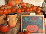 28 SEP 06 HAPPY HARVEST SEASON