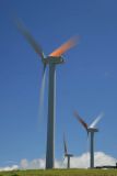 Electricity generating windmills