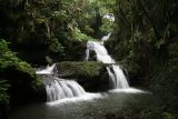 Onomea Falls at Botonical Gardens