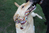 Foul play: too close contact