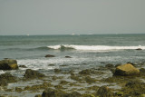 SDIM0029.jpg