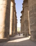 Luxor Temple columns