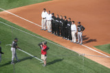 Rockies introductions