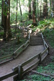 Peaceful path
