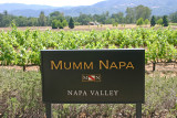 Sparkling wine tastings
