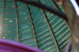 Inside the lighthouse lens