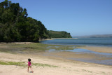 Tidal pools at Heart's Desire Beach