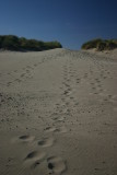 Footprints leading to the water