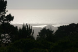 View to Abbott's Lagoon from Mount Vision Road