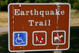 Even the birds are afraid of earthquakes