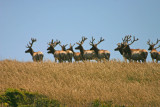 Checking up on the stragglers